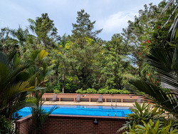 Mount Faber Lodge (D4), Condominium #478822311